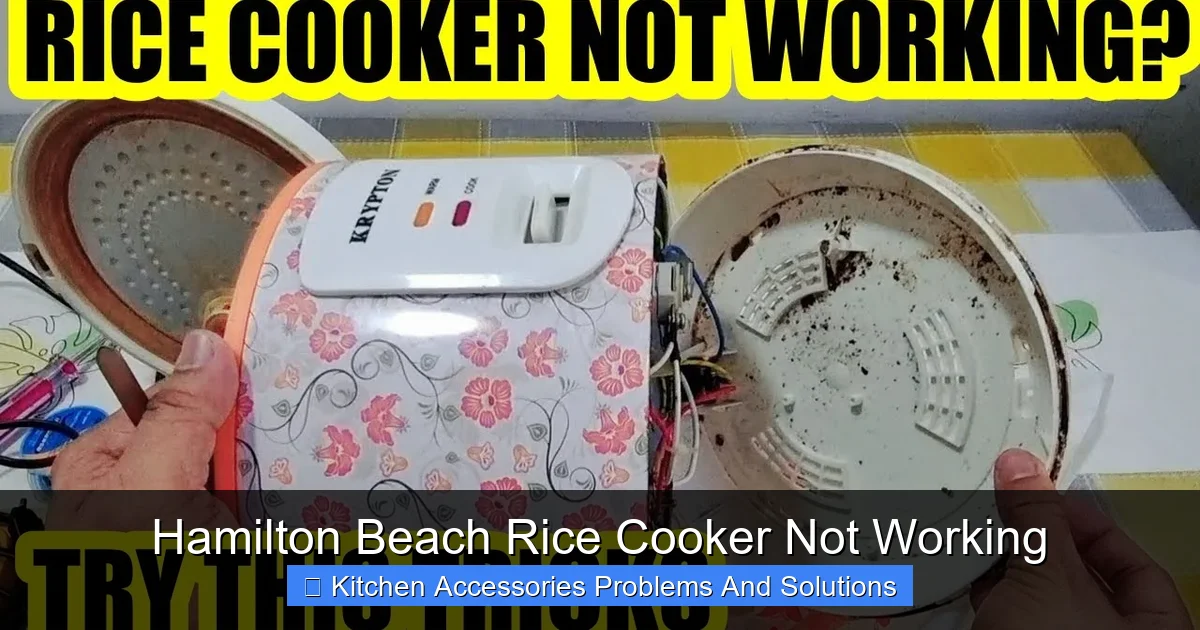 Understanding Your Rice Cooker Woes