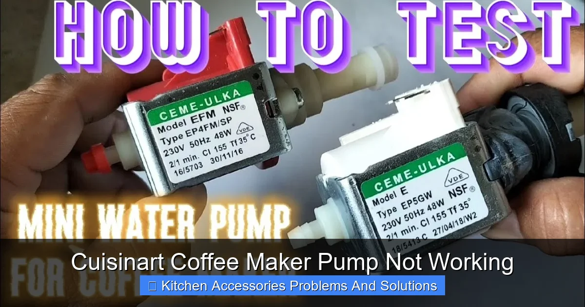 Understanding the Pump Mechanism